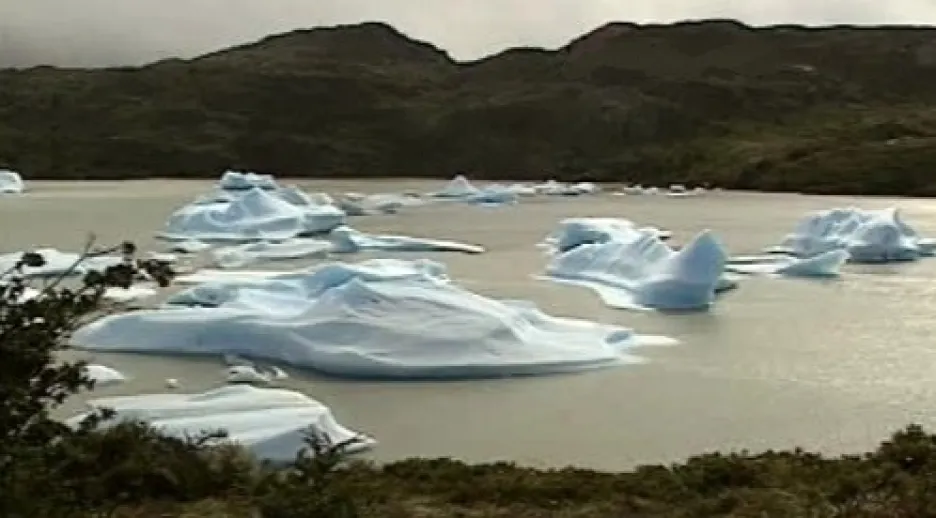 Tání ledovců