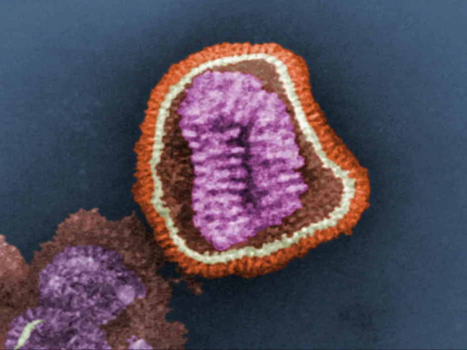 Virus chřipky