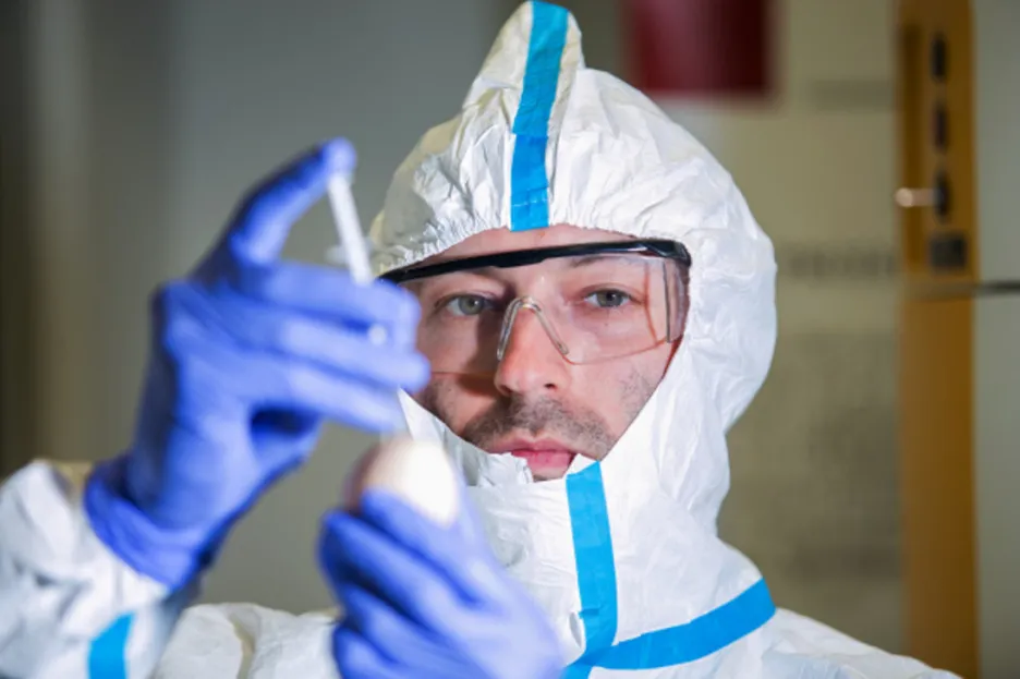 Vědci z Mendelovy univerzity vyvíjí test na ebolu