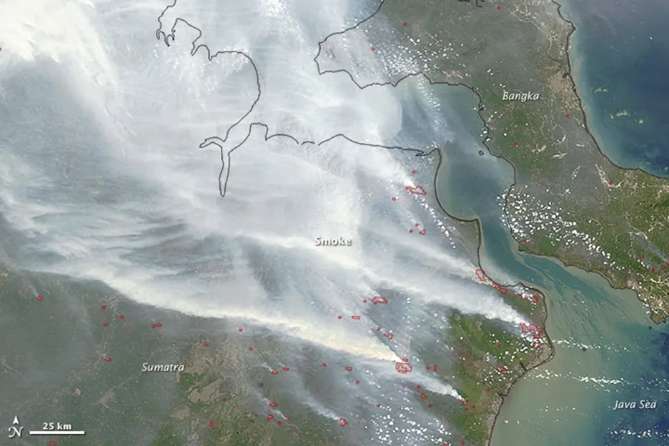 Cílené požáry kvůli půdě zahalily jihovýchod Asie opět do kouřové clony