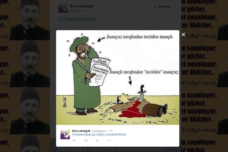 Karikatury a kresby sdílené na sociálních sítích po útocích na redakci Charlie Hebdo v lednu 2015