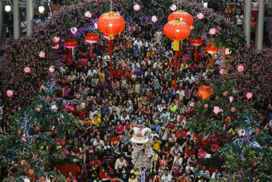 Svět slaví s Čínou nový rok opice 