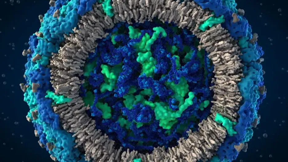 Počítačový 3D model viru zika