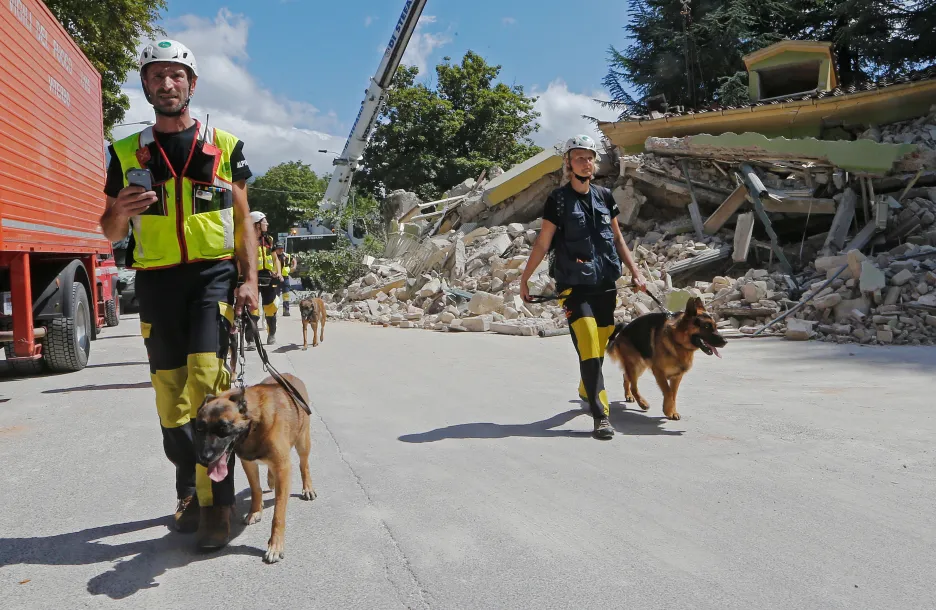 Záchranáři se psy ve městě Amatrice