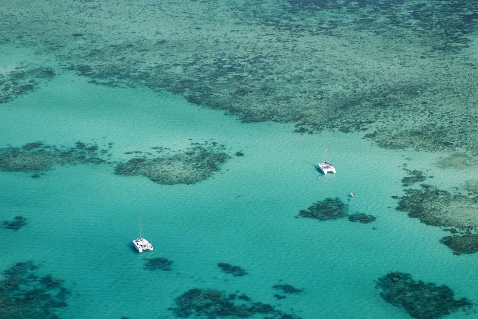 Velký bariérový útes v Austrálii