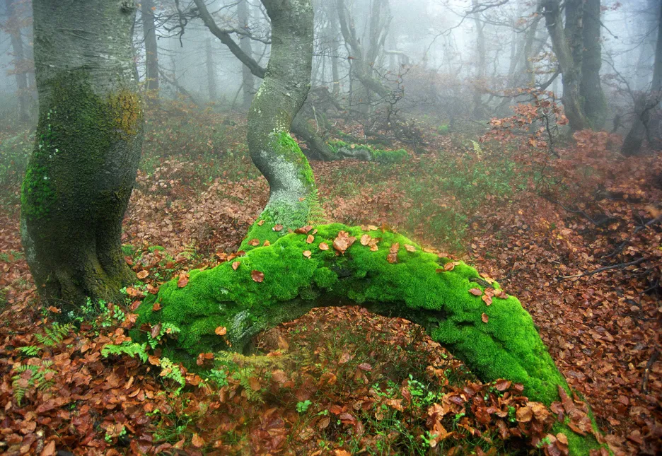 Krkonošský národní park slaví 55 let