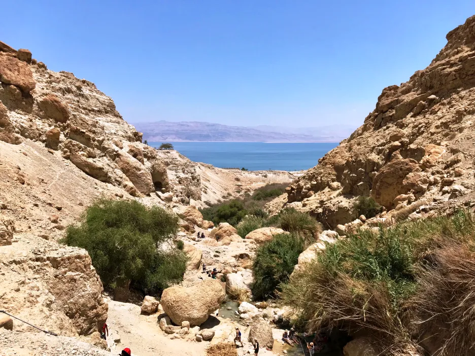 Výhled na Mrtvé moře z rezervace Ejn Gedi