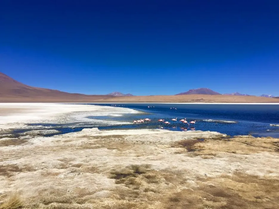 V oblasti pláně Uyuni leží největší zásobárna soli na planetě