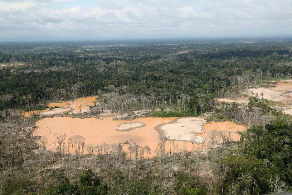 Deforestace Amazonie