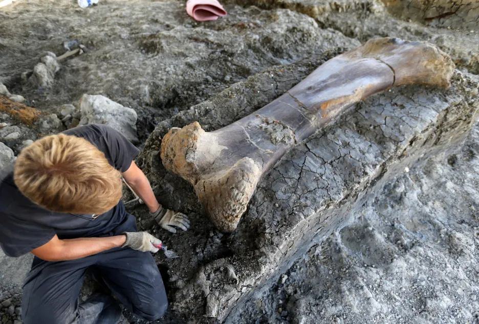 Dvoumetrová dinosauří kost nalezená ve Francii