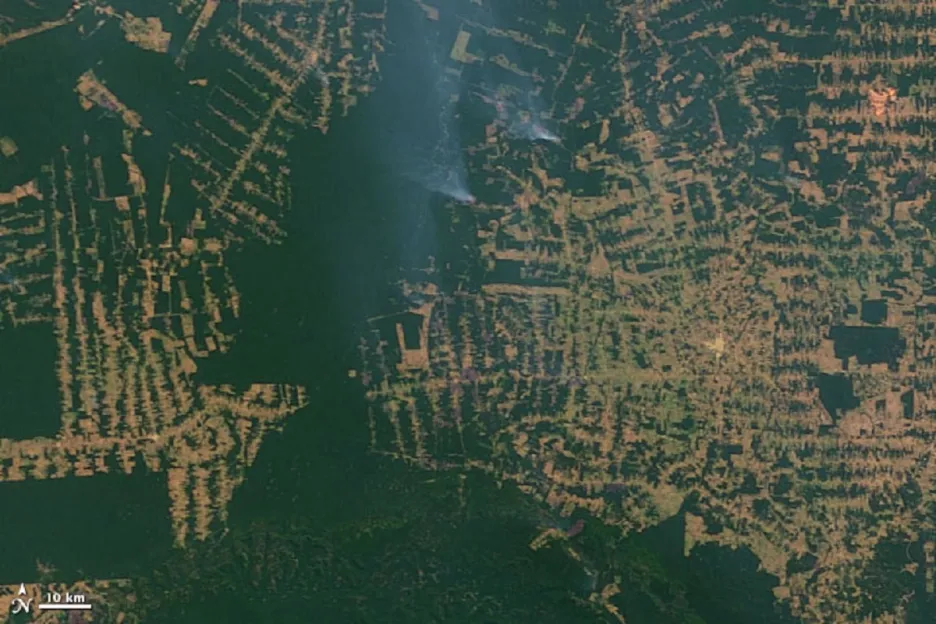 Deforestace v brazilském státě Rondonie
