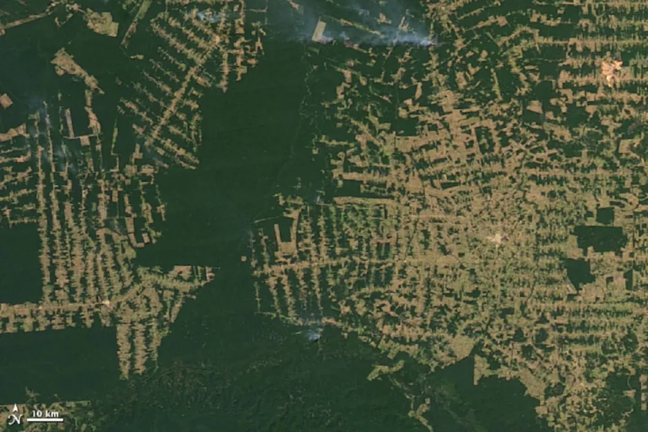 Deforestace v brazilském státě Rondonie