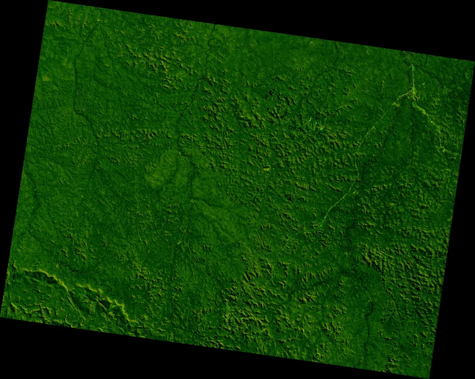 Deforestace ve státě Rondonie v letech 1975-2001