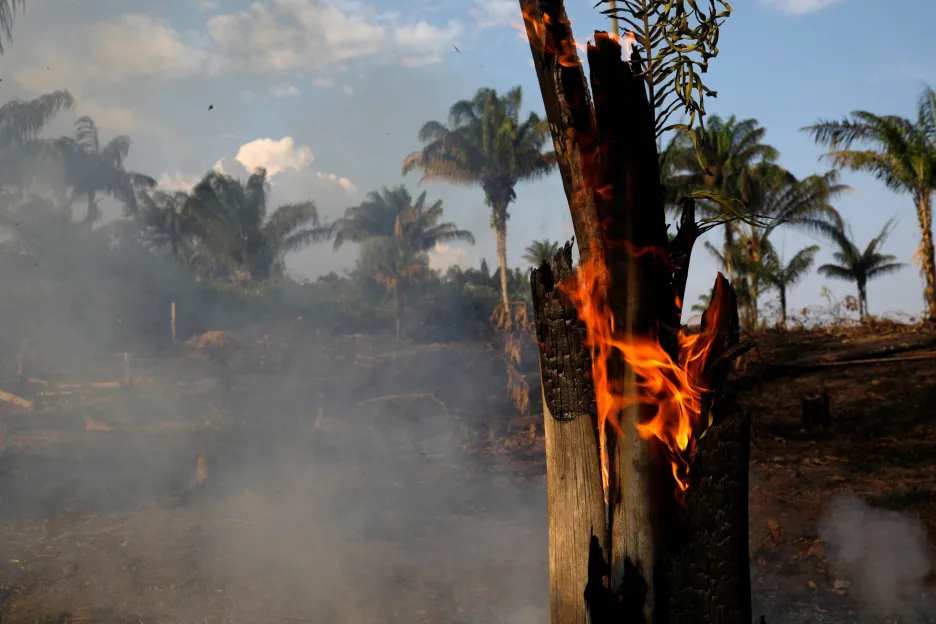 Požáry zuřící v amazonském deštném pralese letos dosáhly rekordního počtu. Brazilské středisko pro vesmírný výzkum INPE prozatím zaznamenalo víc než 70 tisíc požárů.