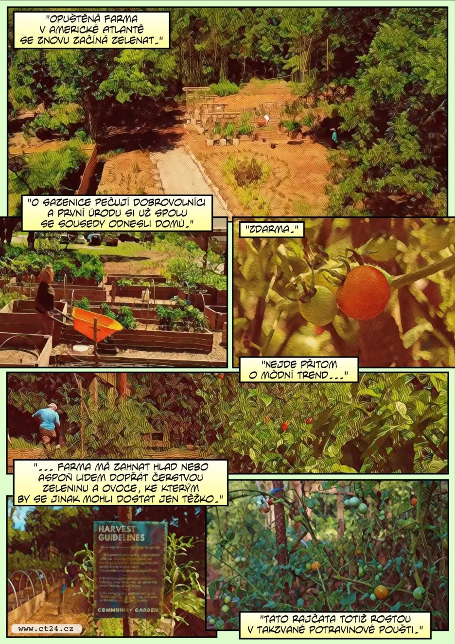 Komunitní zahrada v potravinové poušti
