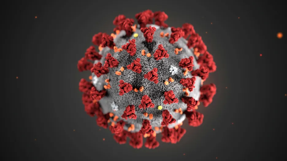 Vizualizace wuchanského koronaviru