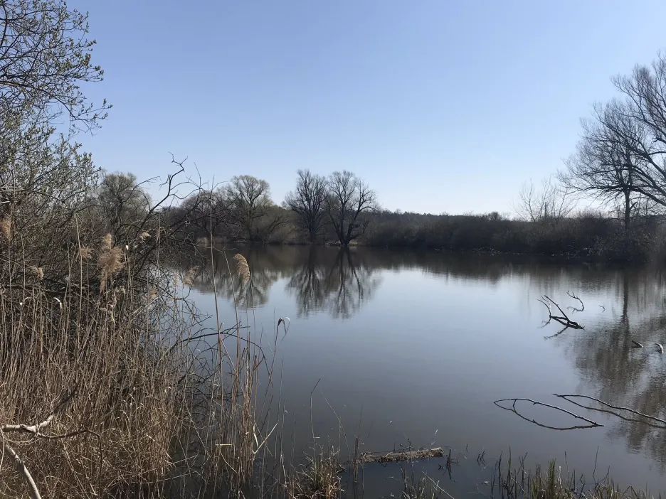 Plánovaná ptačí oblast u řeky Kyjovky