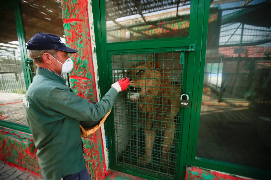 Opuštěné zoologické zahrady se propadají do finančních ztrát 