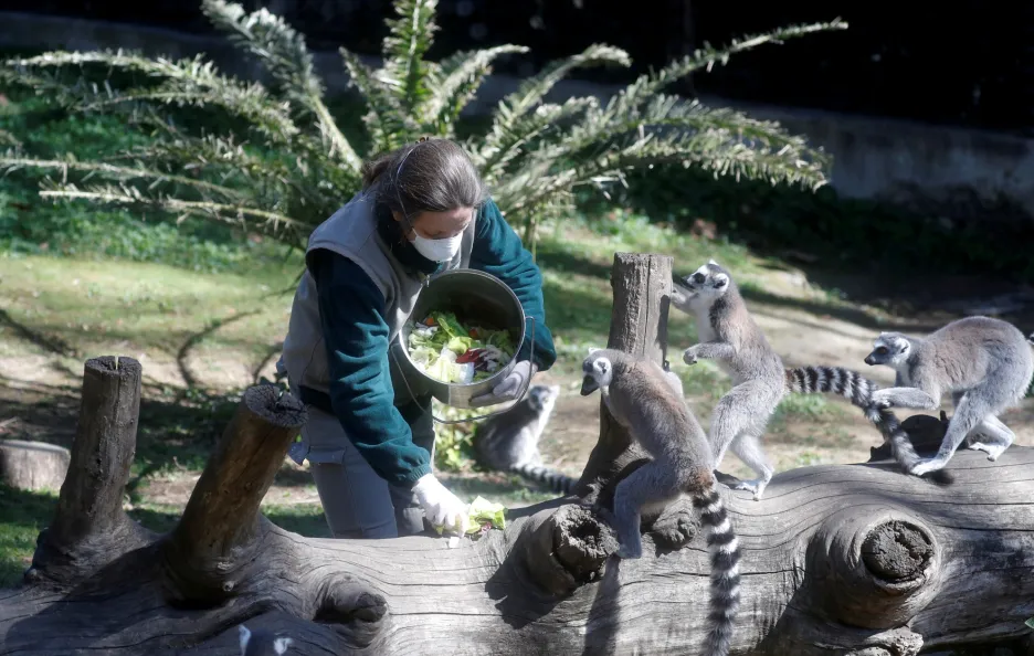 Opuštěné zoologické zahrady se propadají do finančních ztrát 