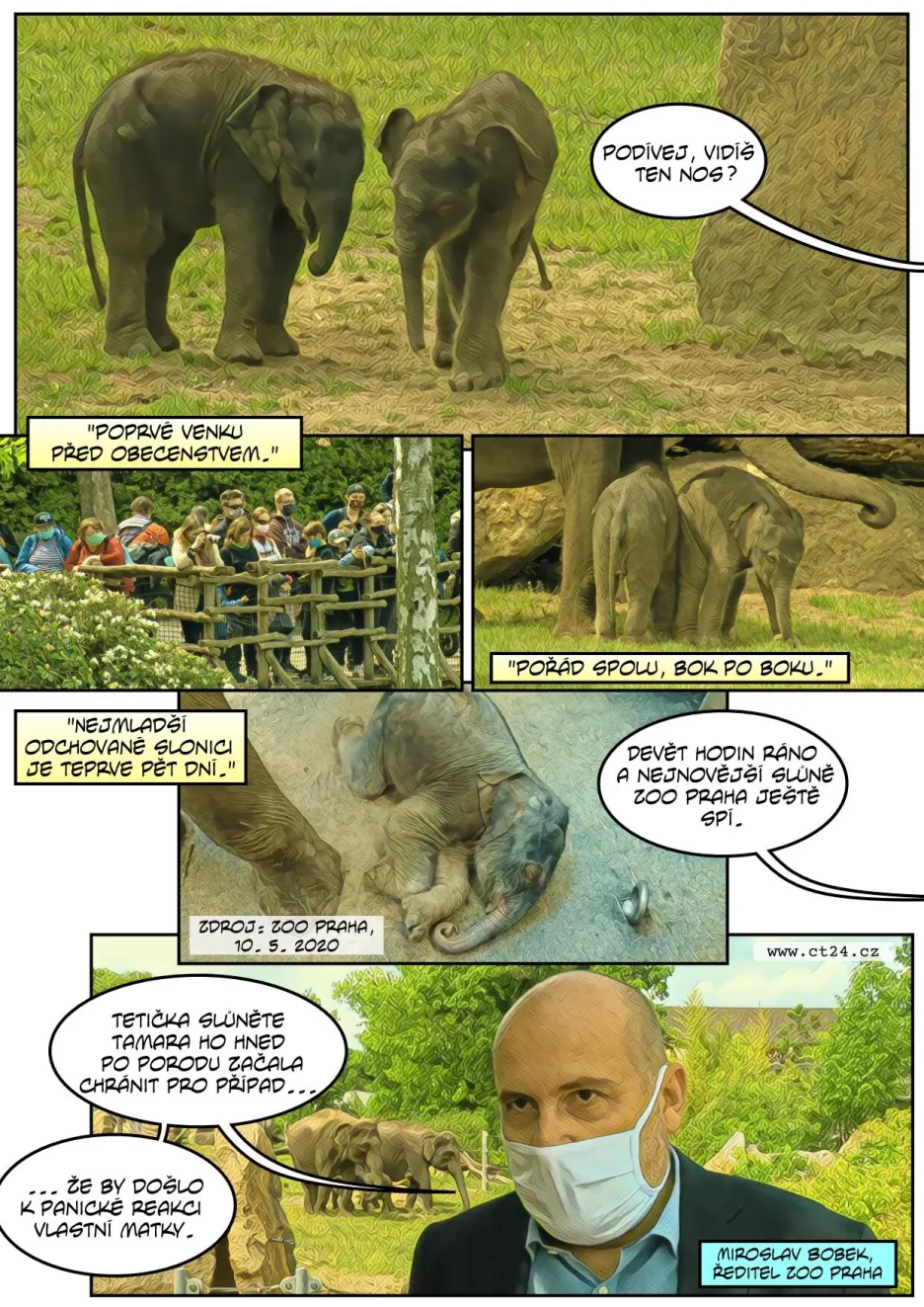 Pražská zoo ukázala druhé slůně