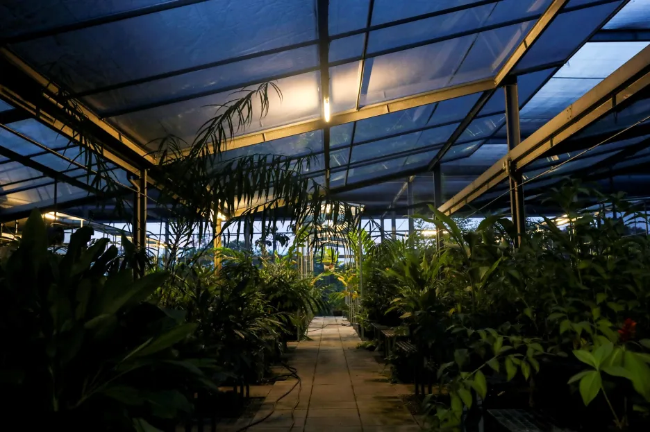 Botanici na Tchaj-wanu hledají ohrožené druhy rostlin, které by mohly zmizet v důsledku klimatických změn