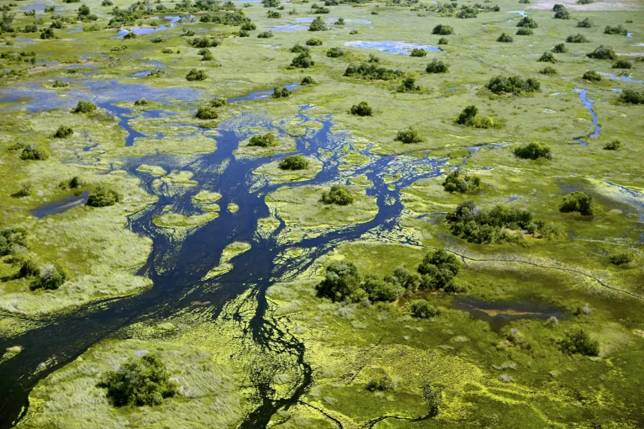 Život u Okavanga