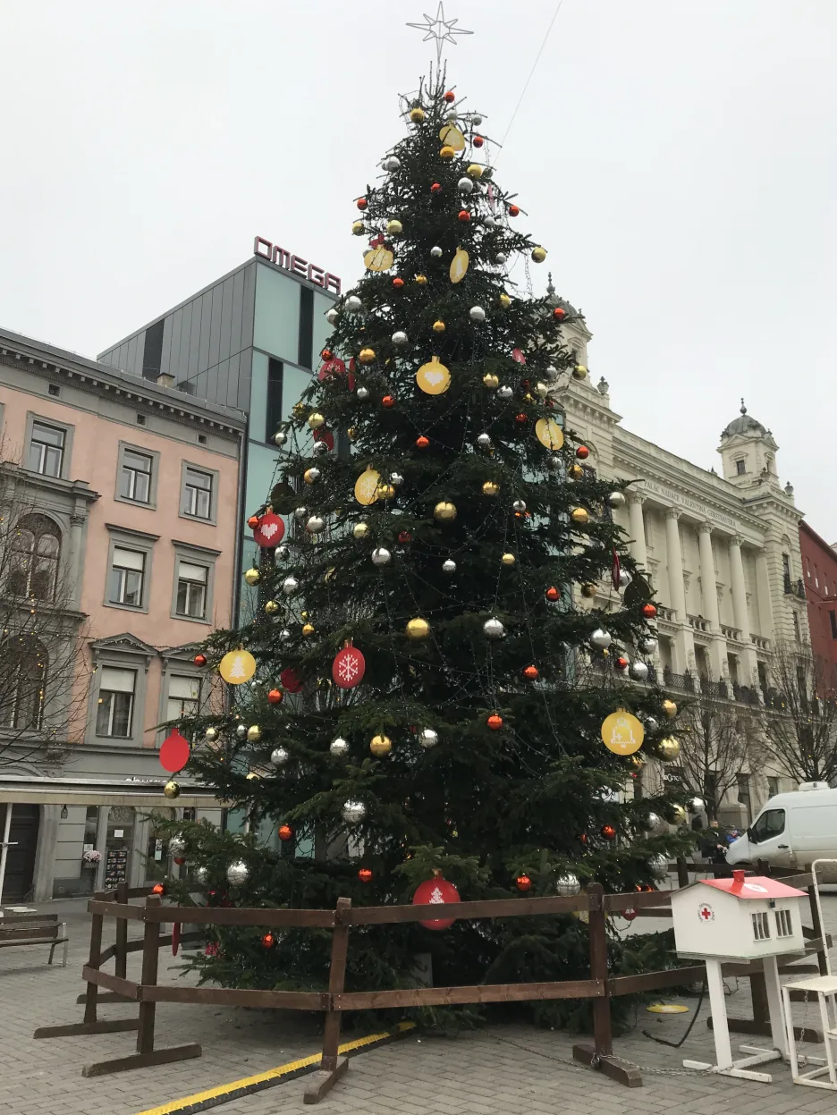 Vánoční strom na Náměstí Svobody v Brně