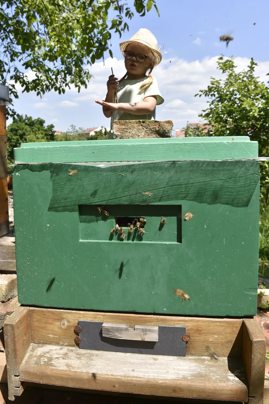 V Otevřené zahradě v centru Brna, vzniká včelí pozorovatelna s posezením, vyvýšené záhony s medonosnými rostlinami a ukázkový prosklený úl