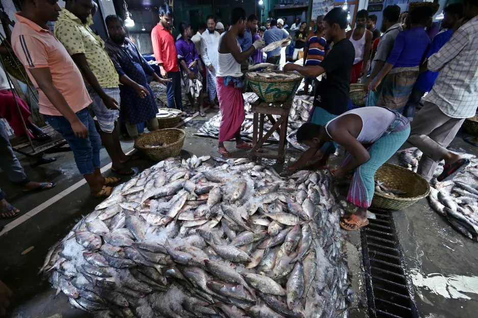 Obchodníci na rybím trhu ve městě Chandpur v Bangladéši se snaží prodat ryby, o které není zájem z důvodu vysoké ceny