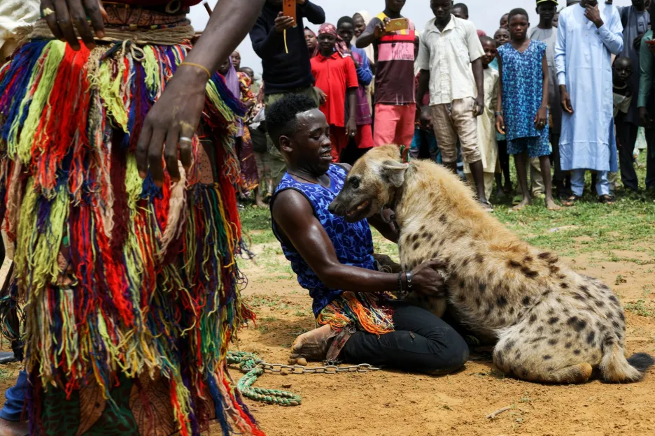Hyení muži ze severní části Nigérie jsou ze šelmou spojeni celý život. Zvíře je doprovází na cestách a je i pomocníkem při obživě