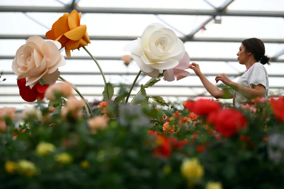 Přehlídka pěstitelů květin, floristů a aranžérů Chelsea Flower Show v Londýně nabízí milovníkům zahrad tu nejzajímavější podívanou ve Velké Británii