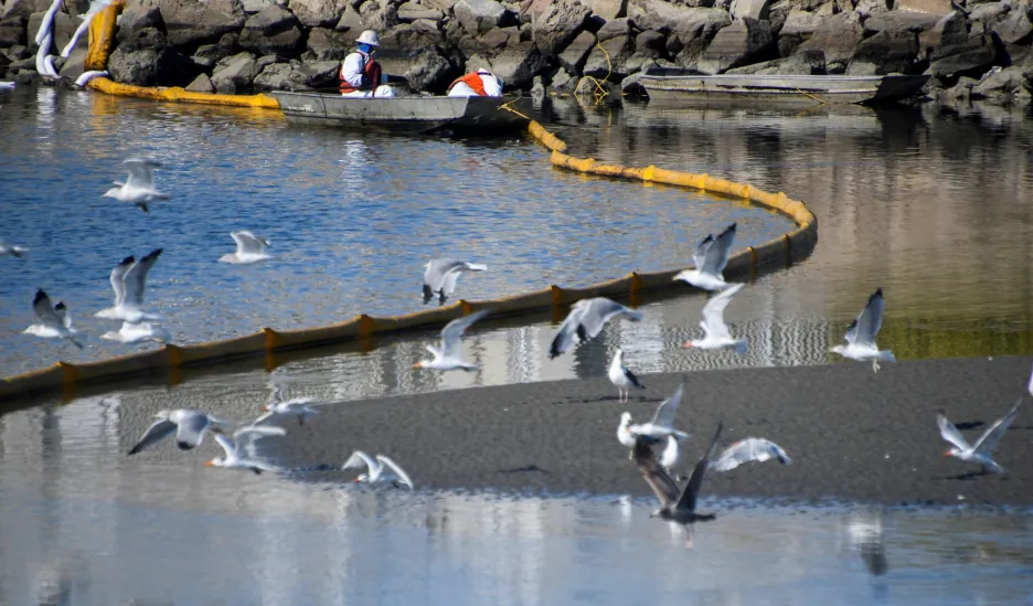 Ekologové se vypořádávají s jednou z největších olejových skvrn, která postihla pobřeží Jižní Kalifornie