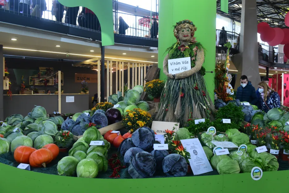 Podzimní výstava ovoce a zeleniny Flora Olomouc
